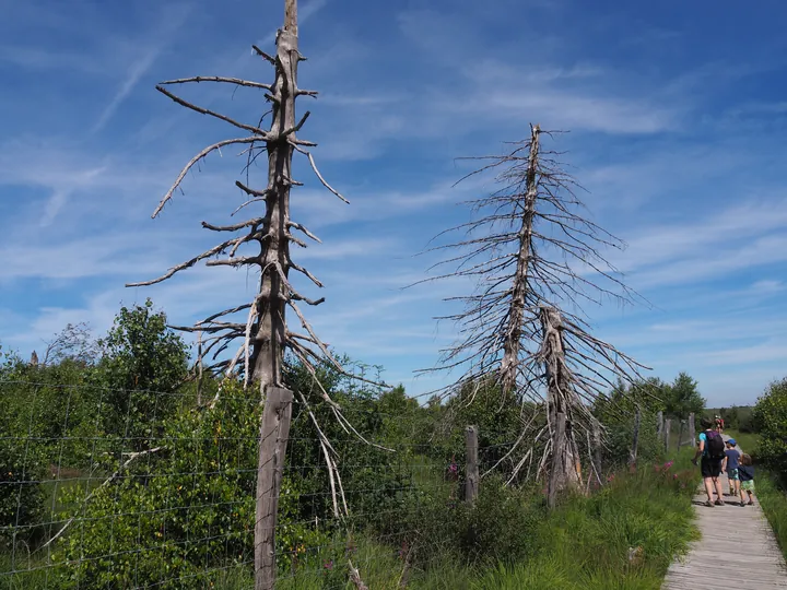 Signal de Botrange (Belgium)